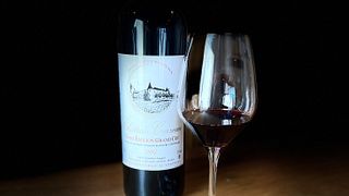 De la vigne au verre : visite et dégustation | Château Cruzeau