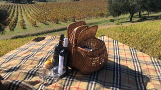 Visita e Prova de Vinhos no Monte do Pintor