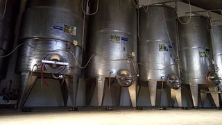 Visite guidate alla Cantina Zinzani
