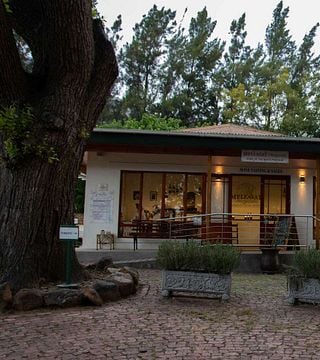 Dégustation de vins et visite des vignobles Mellasat