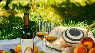 Dégustation de vins de qualité supérieure à la cave à vin Shiukashvili