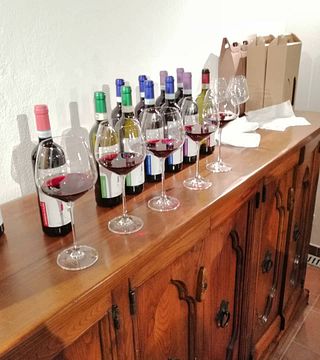 Degustazione e tour di vini a Vigna Riccardo