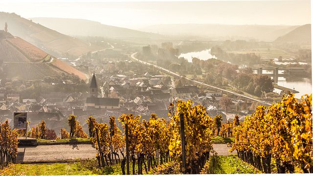 Weingut Schenk