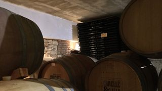 Experimenta los vinos del Priorat en Celler Crivellé i Valls y degusta 4 variedades