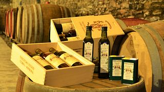 Weingutstour mit Wein- und Olivenverkostung auf dem Weingut Theotoky auf Korfu