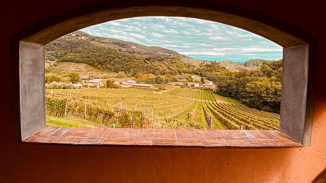 Lucques : Dégustation de vins - Domaine viticole Tenuta Adamo