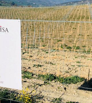 Cata de Vinos en Bodega Doña Felisa