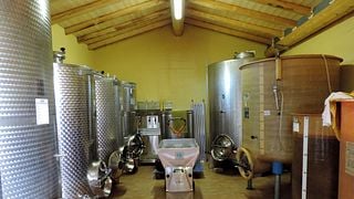 Casè Winery