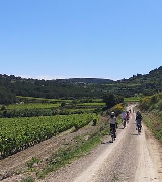 Geführte Fahrradtour zur Entdeckung der kleinen Weingüter von Penedès 