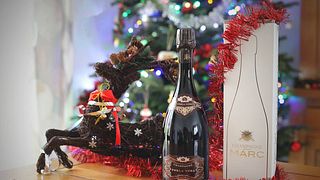Ein einzigartiges Sinneserlebnis in den Weinbergen von Champagne Marc