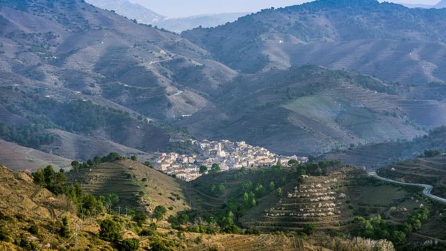 Celler Nin Ortiz: A Unique Winery in Catalonia