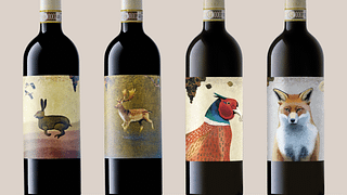 Cata vertical de vinos
