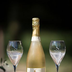 Cata de vinos y visita guiada en Silveri