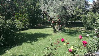 Degustação de vinhos e azeites no Colle del Saraceno
