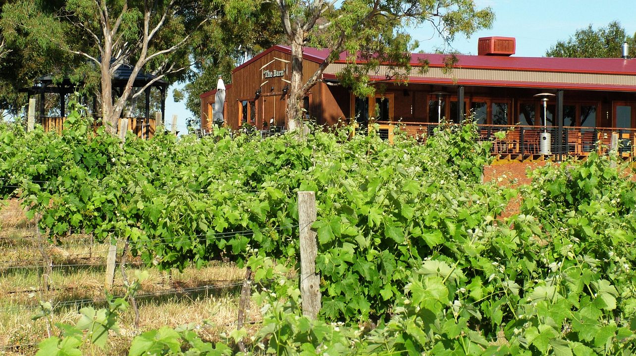 Volée verticale de vins Vermentino chez Barangaroo Boutique Wines