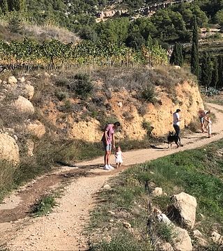 Visite d'une cave avec des enfants | Celler Joan Ametller