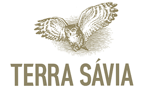 Degustazione di vini bianchi e rossi e olio presso l'azienda vinicola e frantoio Terra Sávia