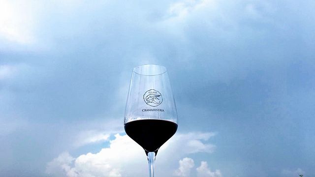 Degustazione di vini a Crama Histria