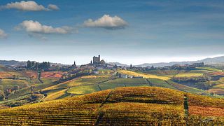 Cata de vinos y visita guiada a Cà' Romé'
