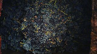 Domaine de l'Enchantoir