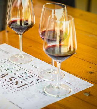 Veneto Vineyard Tour & Wine Tasting at Reassi