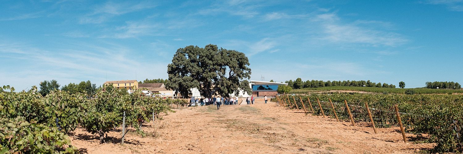 Cata Bajo La Encina