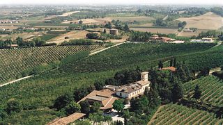 Degustação de vinhos e tour na Fattoria Paradiso