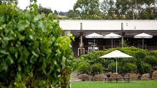 Greenstone Vineyards