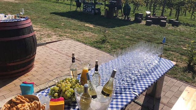 Cata de vinos y visita a la bodega Csetvei