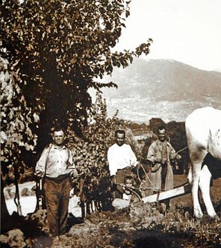 Vinprovning och rundtur på Azienda Agricola Bocale