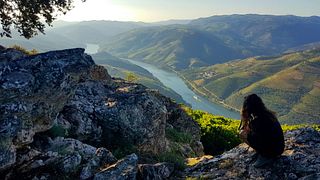 Desde Oporto: tour en grupo reducido por el valle del Duero con catas de vino, almuerzo y crucero por el río 