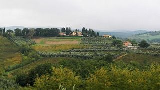 Vinprovning och rundtur på Renai e Monte