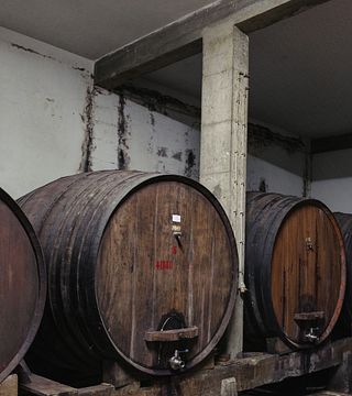 Weinerlebnis bei Sidónio de Sousa Weinen