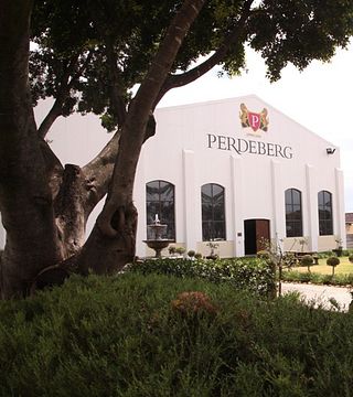 Cata de vinos y visita guiada en Perdeberg