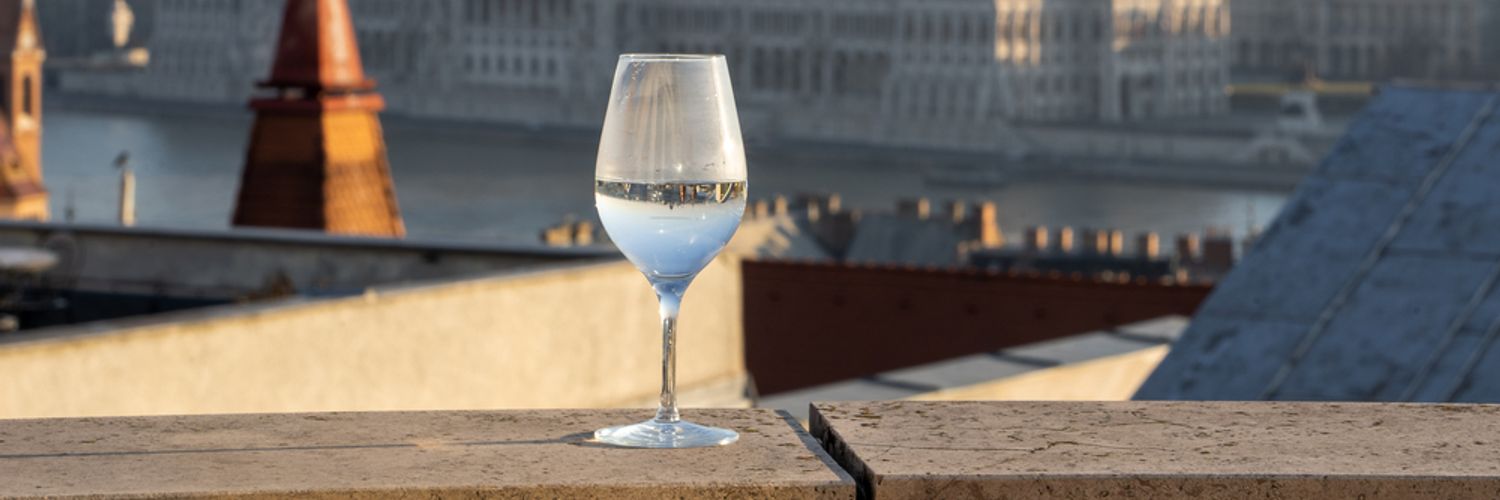 Budapest-Wine