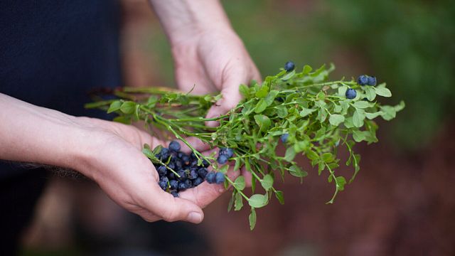 Cata de vinos y quesos en Bodega Ainoa
