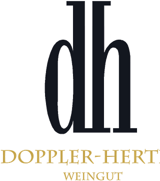 Cata de vinos y visita guiada en Weingut Doppler-Hertel