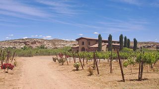 Weinprobe und Tour in Alcantara