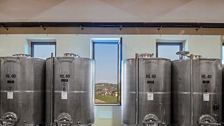 Weinprobe im Herzen von Roero | Cascina Torniero dei F.lli Migliasso