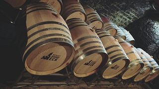  Weinbergwanderung mit Weinprobe