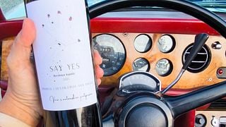 VIP Wine Tasting