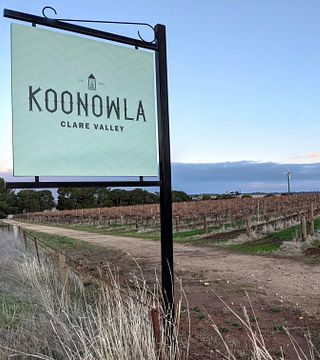 Dégustation de vins et visite des vignobles de Koonowla