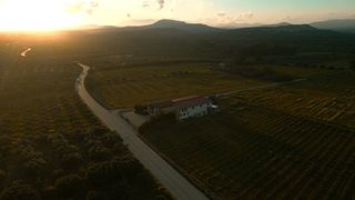 L'expérience de dégustation de vins du patrimoine