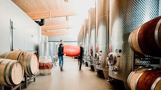 Burgenland Wine Journey at Weingut Mariel