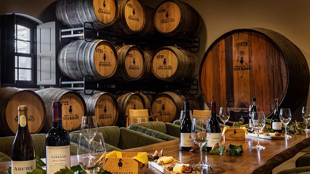 Populär vinprovning och rundtur på Herdade Do Sobroso Wine & Luxury Boutique Hotel