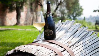 Cata de vinos y visita guiada a Torre Fornello