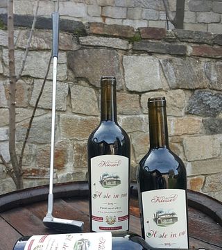 Degustazione di vini e tour presso la Family Boutique Winery Kiossev