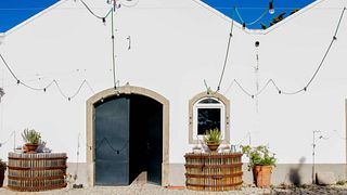 Vinprovning: ekologiska viner, ost, kött och oliver på Quinta da Boa Esperança