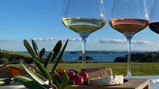 Weinprobe und Tour bei Cable Bay Vineyards
