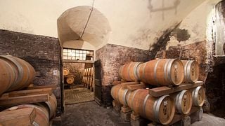Cata de vinos y visita guiada en Santa Sofía
